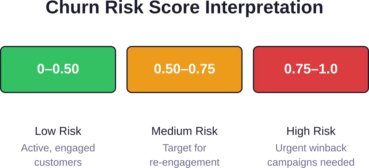 How to interpret churn risk scores and prioritize retention efforts based on customer segments